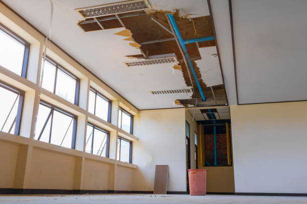 Best Ceiling water damage repair  in Rhome, TX