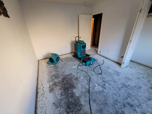 Best Water damage contractors near me  in Rhome, TX