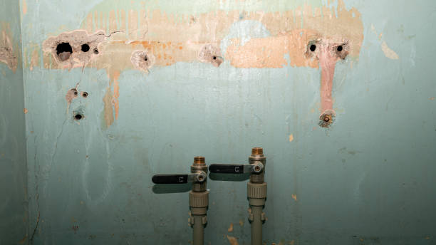 Best Water damage restoration near me  in Rhome, TX