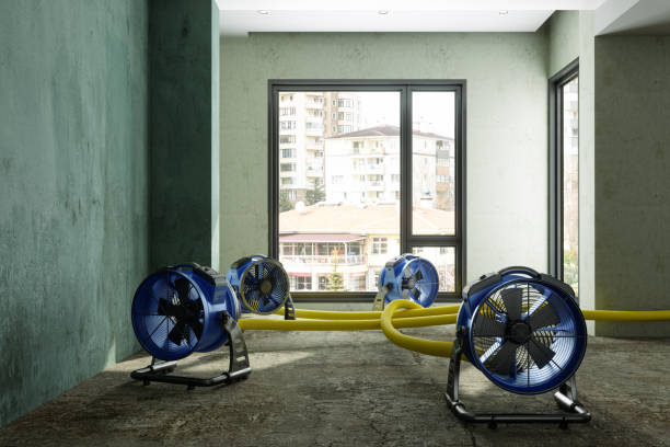 Best Commercial water damage restoration  in Rhome, TX